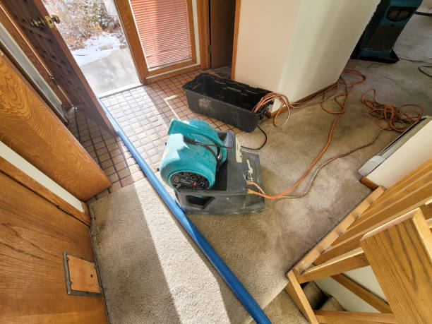 Trusted Fabens, TX Water damage restoration Experts