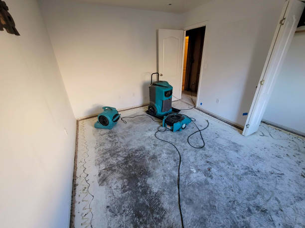 Best Water damage contractors near me  in Fabens, TX