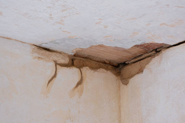 Best Water damage mitigation services  in Fabens, TX