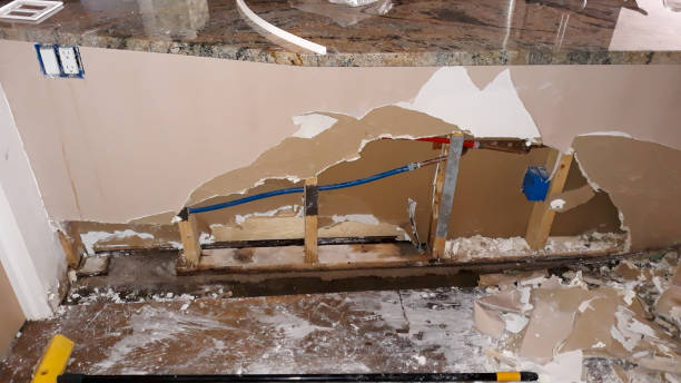Best Water damage restoration near me  in Fabens, TX