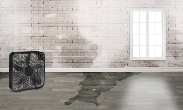 Best Fire Damage Restoration  in Fabens, TX