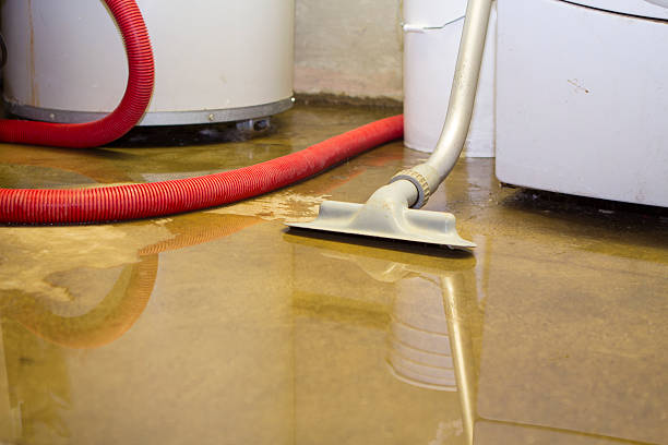 Trusted Fabens, TX Water damage restoration Experts