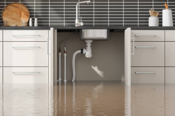 Best Basement water damage restoration  in Fabens, TX