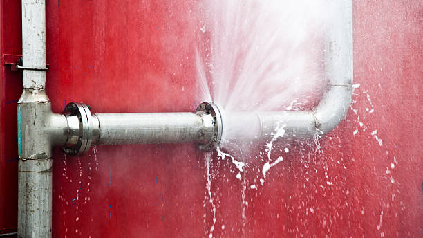 Best Water damage restoration near me  in Fabens, TX